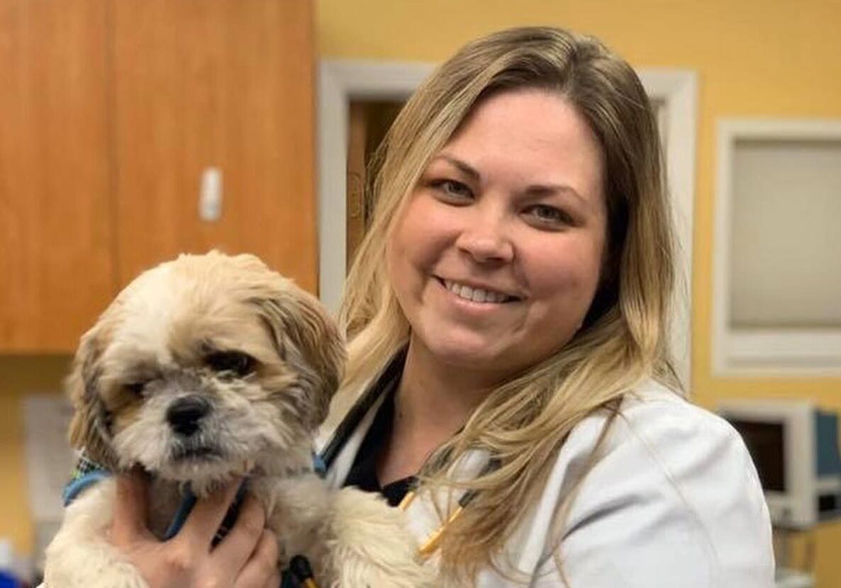 Doctor Holding Small Fluffy Dog