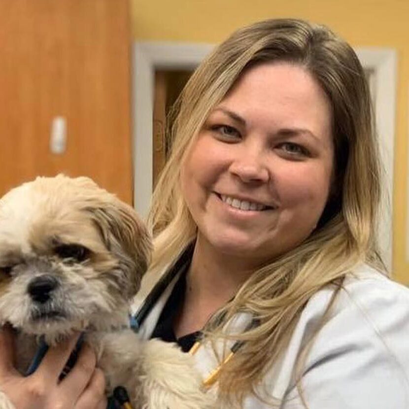 Doctor Holding Small Fluffy Dog