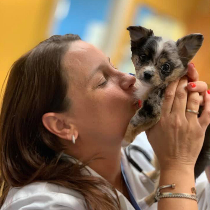 female doctor kissing small puppy