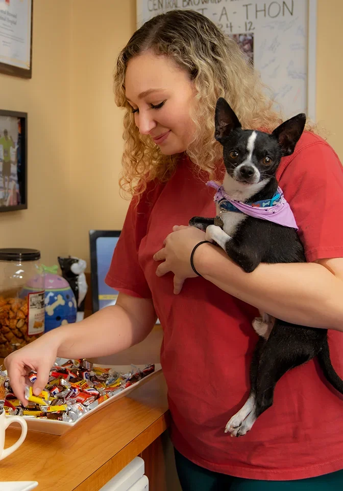 Pet Owner In Waiting Room