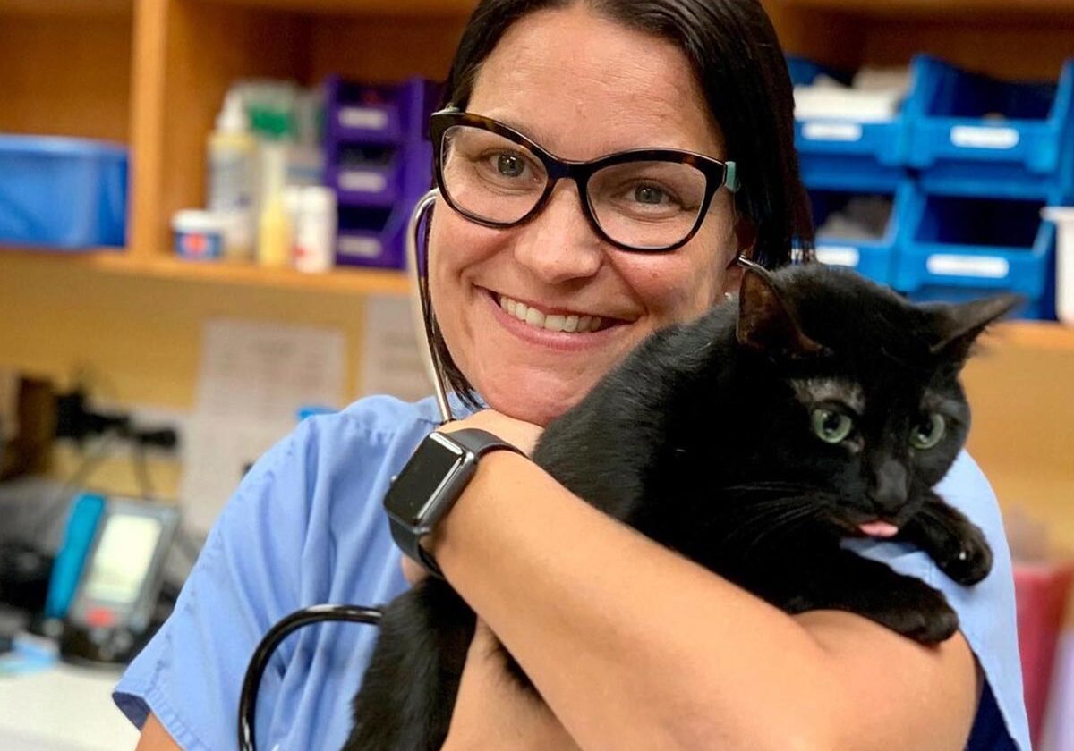 Veterinarian Hugging Cat While Checking Heart